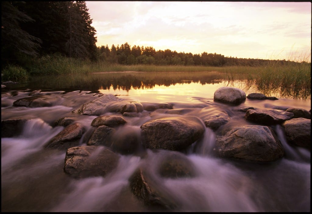 miss river new Lake Itasca and Headwaters of the Mississippi River in Itasca State Park