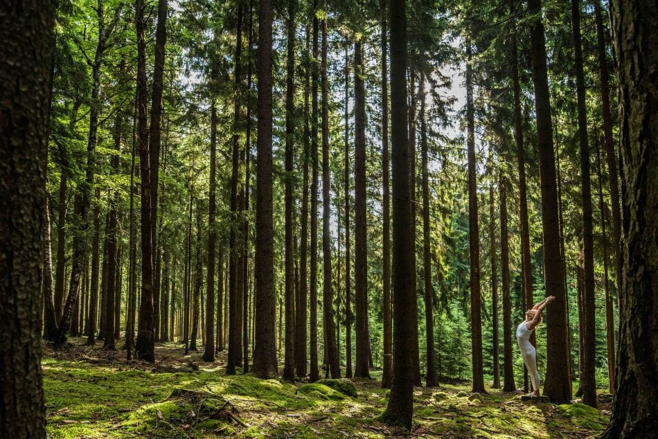 Resort Svatá Kateřina, Czech Republic