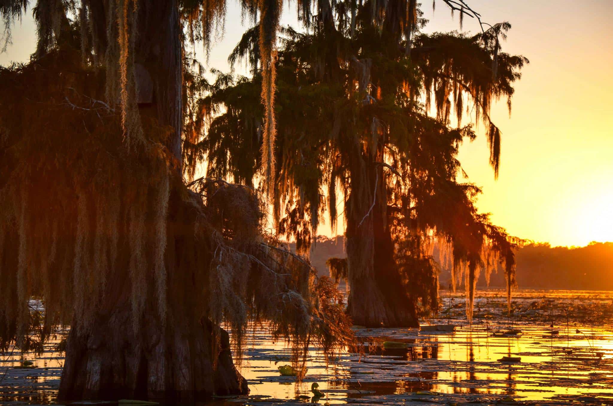 ┬⌐LafayetteTravel Public Promotional Image 00012 Lake Martin